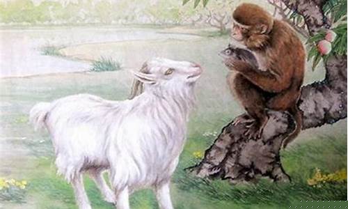 在线算命,免费算婚姻,网上算卦,算命最准的免费网站,2024年犯太岁的属相