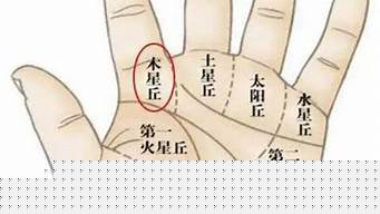免费算感情,在线测字算卦,八字算感情,算感情姻缘,免费算感情