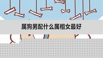 免费今日财运测试,在线算卦,算卦网站