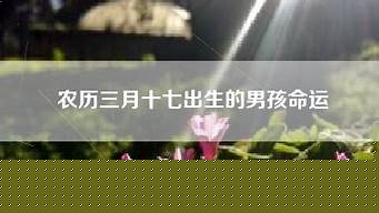 算命最准的网站,在线算命,算卦街算命一条街