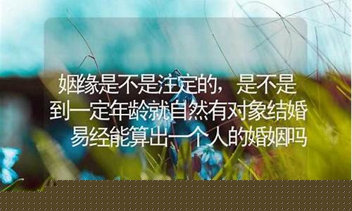 校对时辰算命大师在线咨询