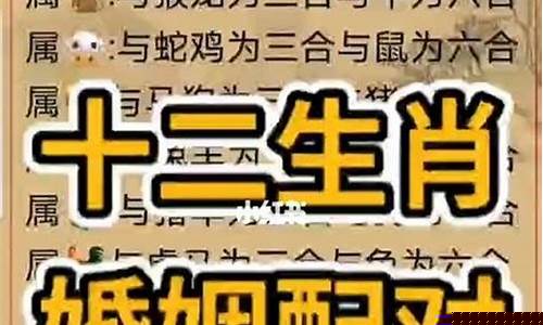 算命最准的网站2025排行榜