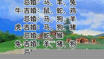 做梦梦到算卦的给我算卦说婚姻不长久