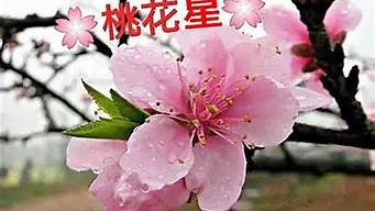 算卦说有二次婚姻离婚又复婚算吗女