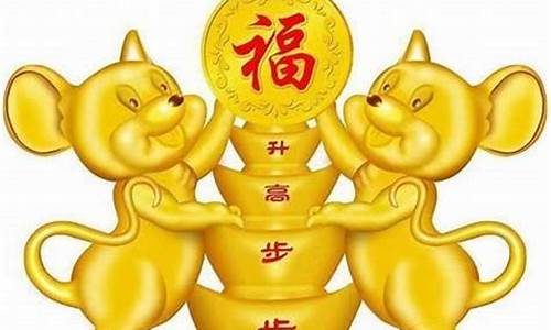 网上算命