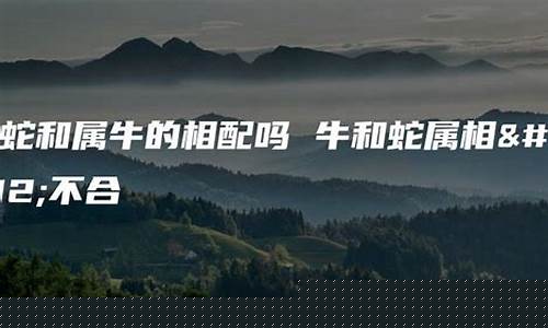 免费算命网站