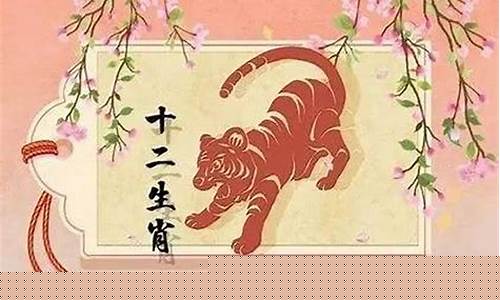 免费算命网