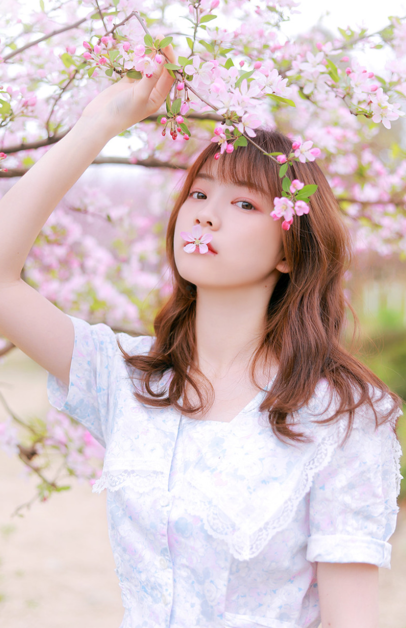 网上算命