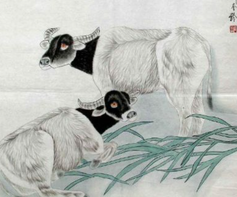 面相看财运